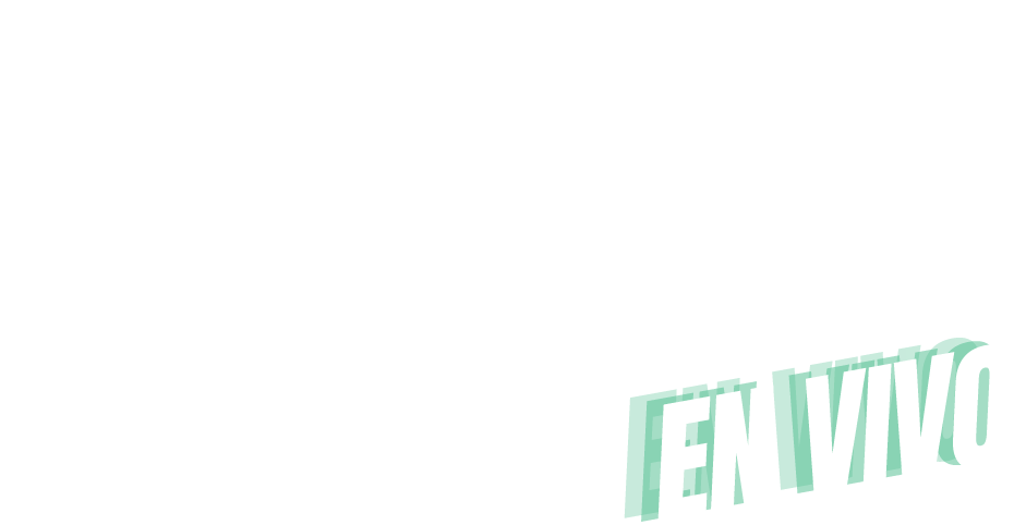 Logo lmm ravapalooza